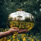 Vase Amico, 29cm - B