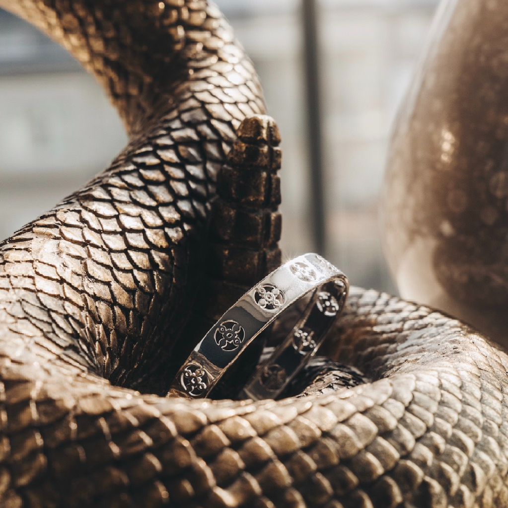 Bangle, Anima Gemella - Silver