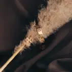 Ring, Anima Gemella 2 - Gilded 6