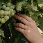 Ring, Anima Gemella 2 - Gilded 6