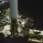 Candlestand Hilke X Mumin No.1